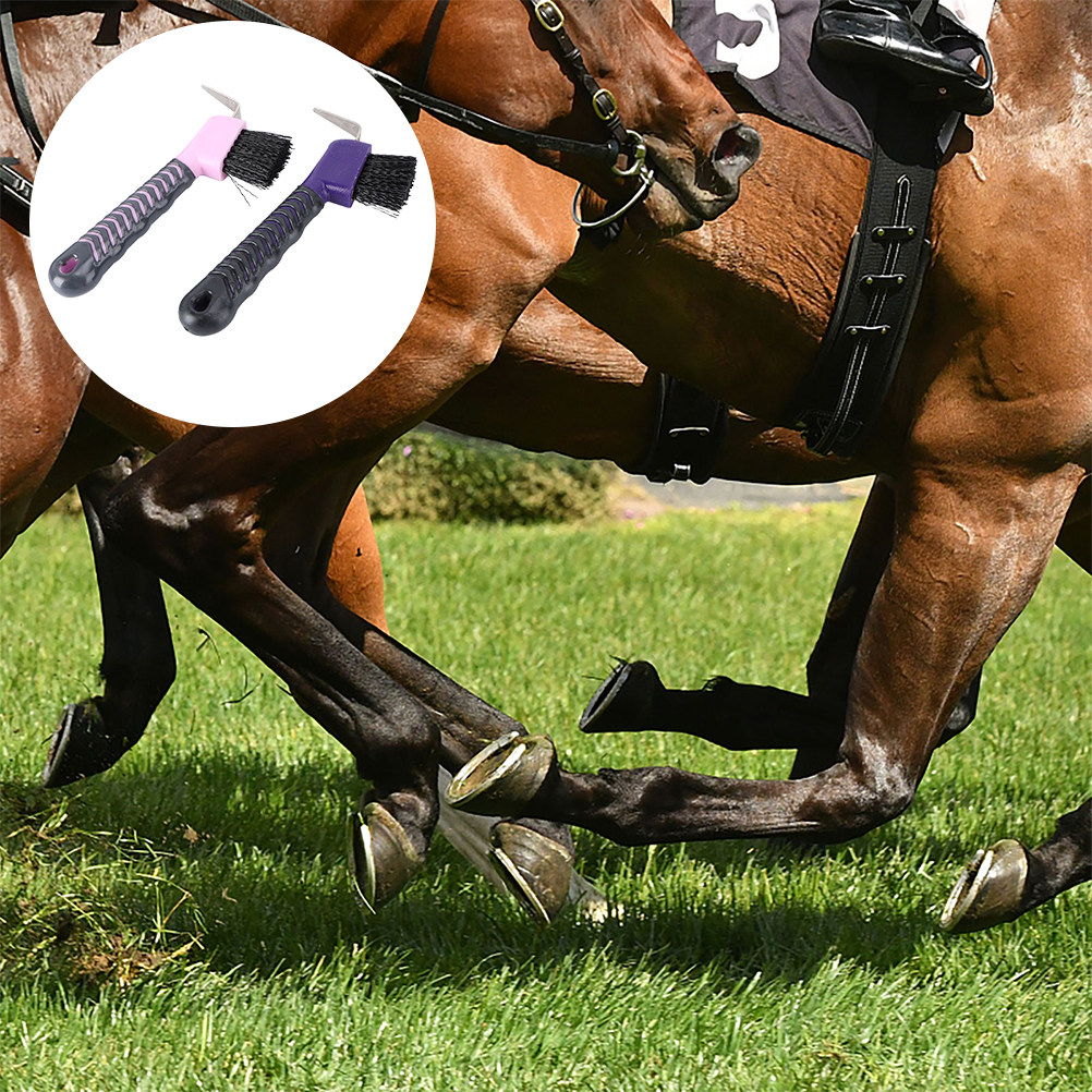 Набор из 2 щеток для чистки ко – обзор и цена Brushing Boot Horse