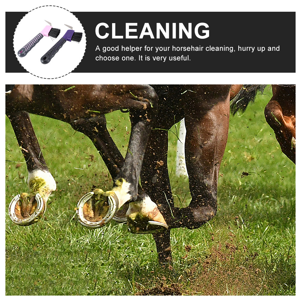 Набор из 2 щеток для чистки ко – обзор и цена Brushing Boot Horse
