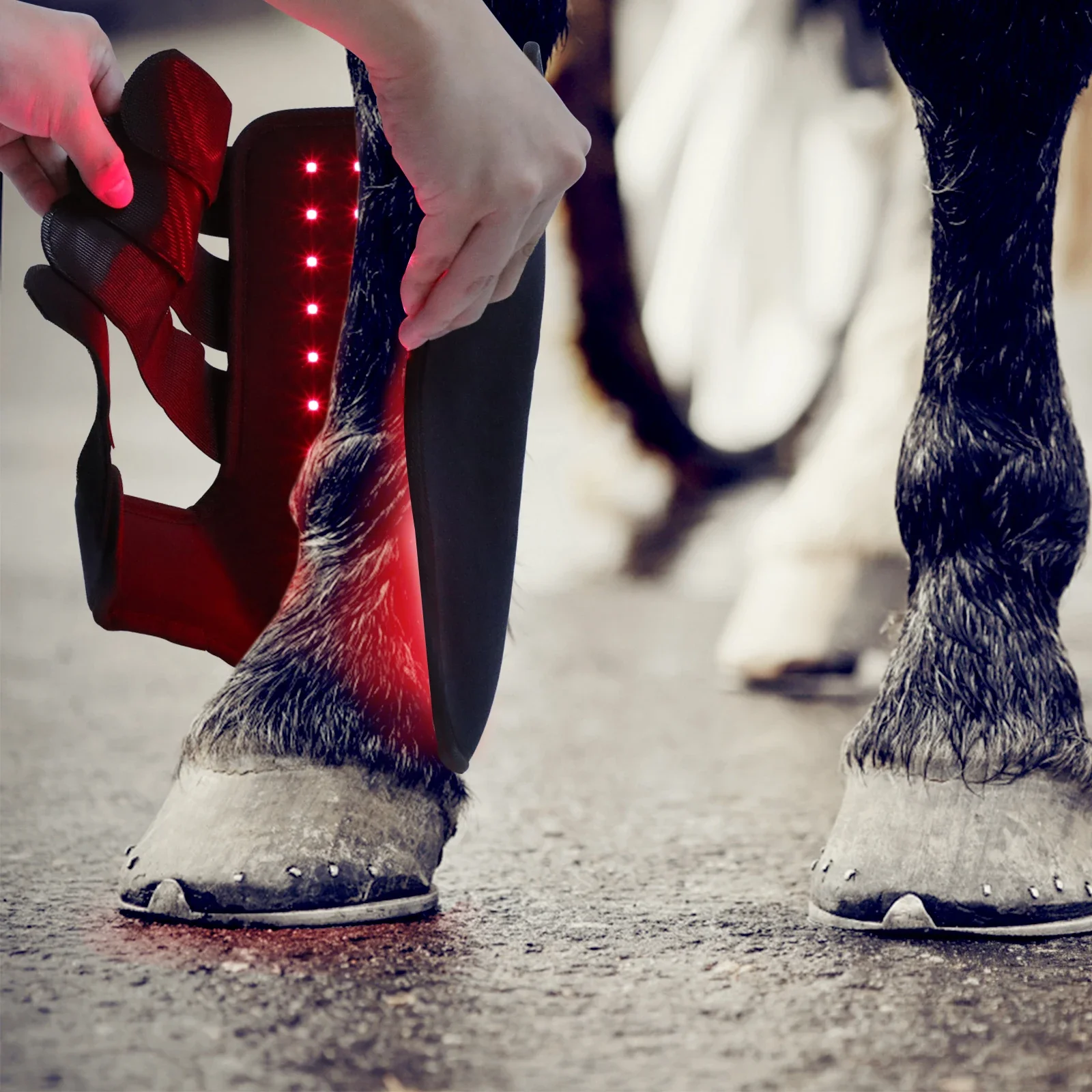 Новые светотерапевтические бот – обзор и цена Brushing Boot Horse
