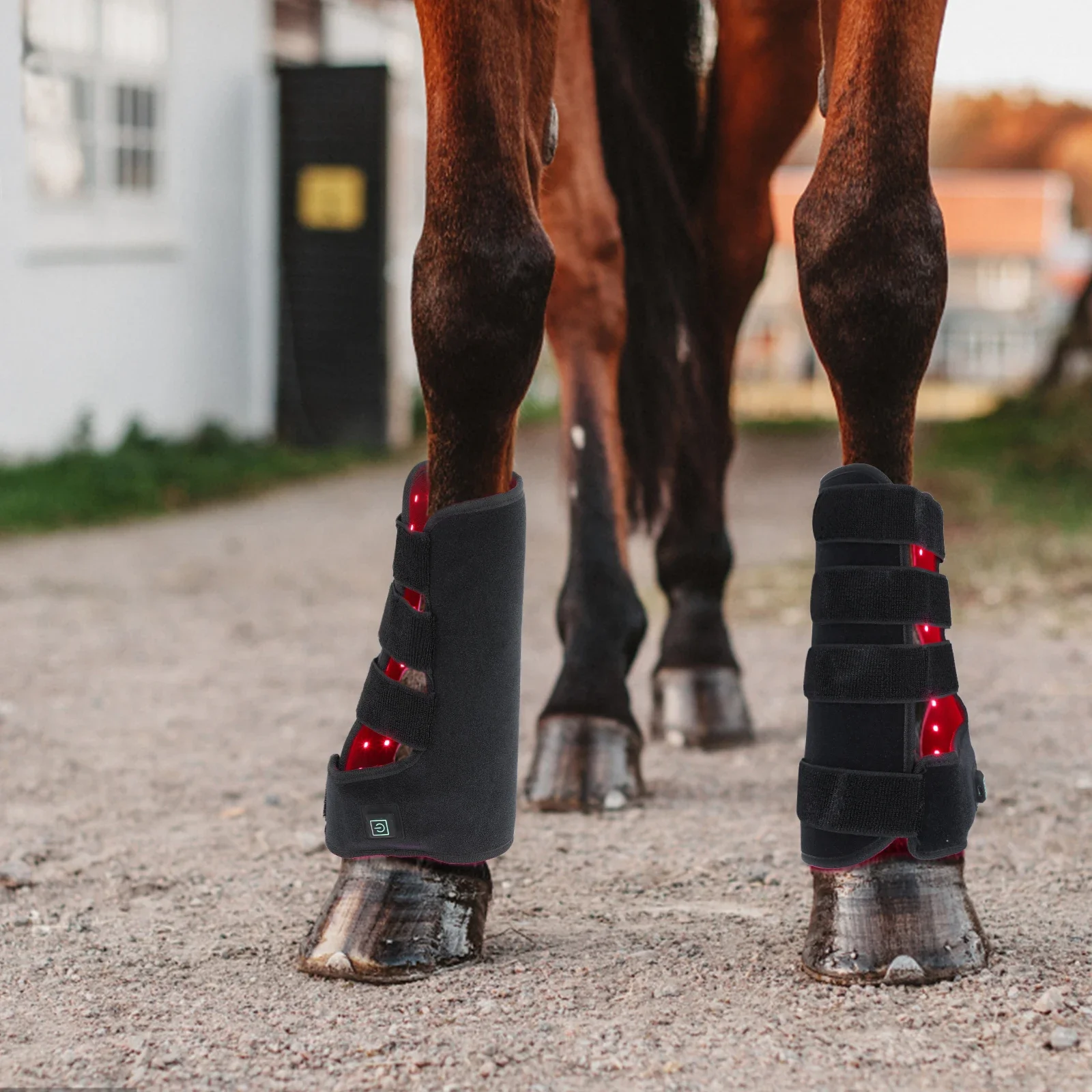 Новые светотерапевтические бот – обзор и цена Brushing Boot Horse