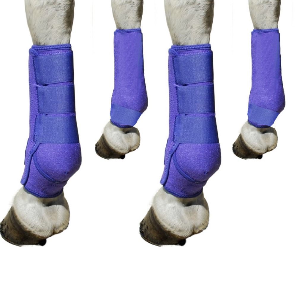 Набор из 4 разноцветных спорти – обзор и цена Brushing Boot Horse