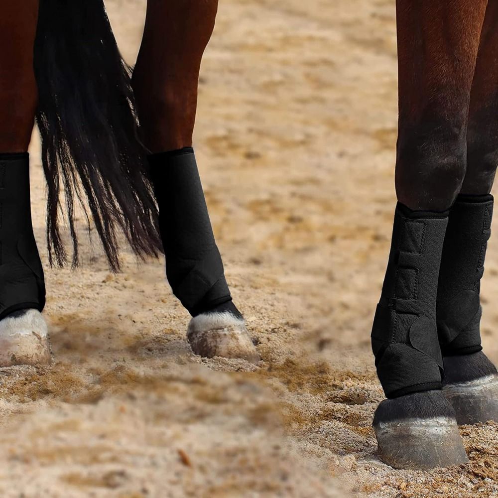 Набор из 4 разноцветных спорти – обзор и цена Brushing Boot Horse