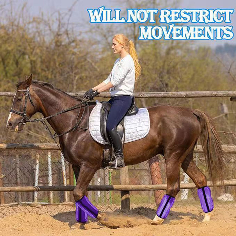 Комплект из 4 дышащих сетчатых – обзор и цена Brushing Boot Horse